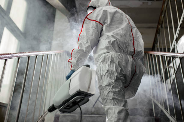 Best Commercial Mold Inspection  in Trappe, PA